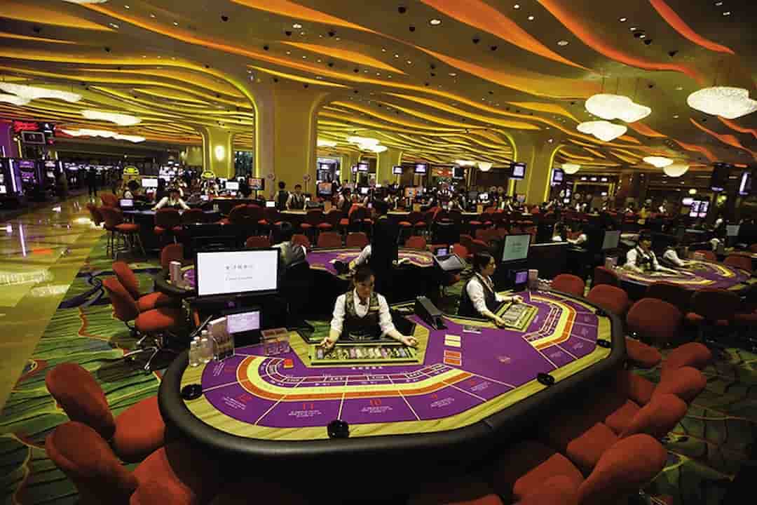 Thông tin cơ bản về sòng bạc Roxy Casino